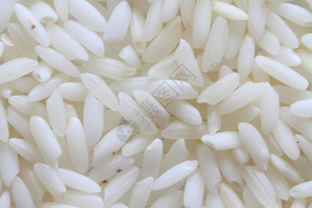 原白稻背景宏健康营养食物饮食白米宏观背景图片