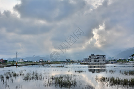 宜兰沼泽的景观建筑场地池塘风景多云叶子场景阳光农村天空背景