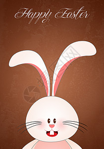 复活节兔子礼物假期季节插图庆典季节性椭圆形传统乐趣背景图片
