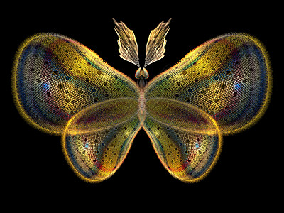 分形蝴蝶动物设计航班触角渲染花园眼睛翅膀创造力森林背景图片