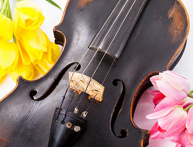 粉色黑色黑色旧小提琴花朵音乐旋律古董娱乐乐器中提琴明信片音乐会郁金香背景