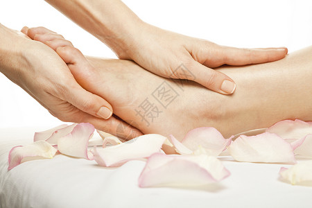 女性腿脚按摩温泉玫瑰康复治疗足疗花瓣白色背景图片
