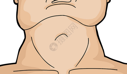 人体肌肉颈单身的喉结高清图片