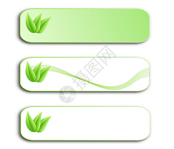 植物标签装饰设置有叶叶的绿色菜单作为带有空间文字的页面设计元素框架学家边缘组织邀请函植物群横幅装饰写作日程背景