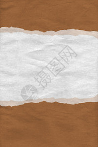 纸质撕碎纸背景白色公告空白卡其色边框卡片纤维棕色边界纸板背景图片