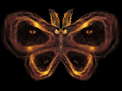 蝴蝶金属眼睛森林插图装饰品元素几何学奉承宏观设计昆虫背景图片