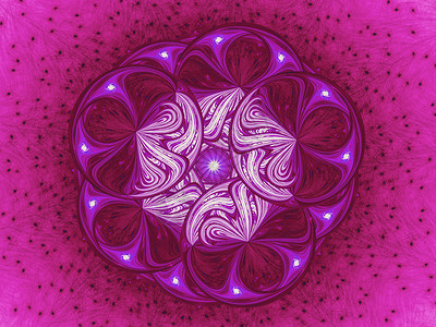 粉色圆形插图花紫色坡度植物群花束花瓣艺术植物圆圈装饰品季节背景
