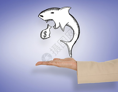 女性手展示贷款鲨鱼的复合图象财富高利贷者货币棕榈数字插图夹克绘图经济手臂背景