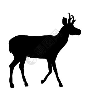 鹿剪影素材鹿说明喇叭插图艺术鹿角剪影背景