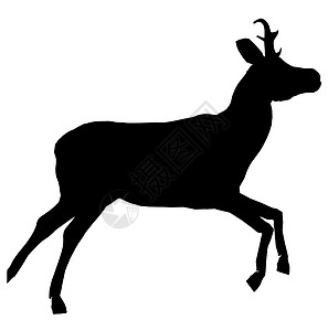鹿的剪影鹿说明插图艺术鹿角喇叭剪影背景