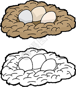 三剪贴画雀巢中的鸡蛋动物插图白色三重奏家禽卡通片手绘背景