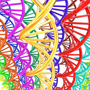 DNA结构结构模型背景螺旋阴影化学金属制药染色体生物克隆技术基因背景