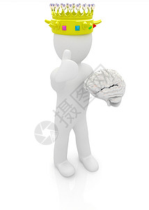 富有知识的大脑3D人 男人 有金皇冠的人 有大脑的国王女王知识分子统治者风暴生理小脑成功器官红宝石教育背景