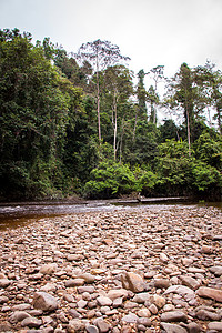 河汤雨林美丽高清图片