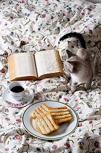 大瓷猫素材床上早餐早餐粉色杯子干杯白色寝具古董灰色食物棉花花朵背景