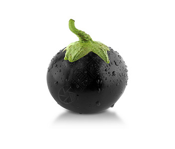 茄子图标黑球产卵背景