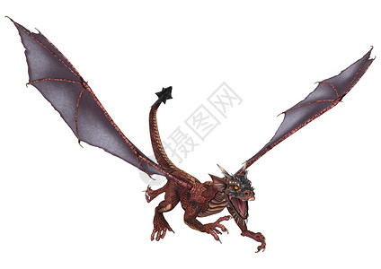 红色罗宾小龙年轻小龙龙蜥蜴红色怪物翅膀插图生物神话尾巴白色孩子背景