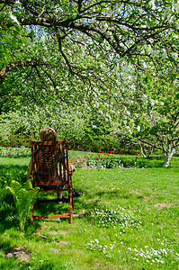园丁坐在花荫的树荫上坐着椅子背景图片