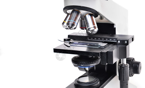 分离显微镜测试科学医疗乐器实验室技术科学家实验生物白色背景图片