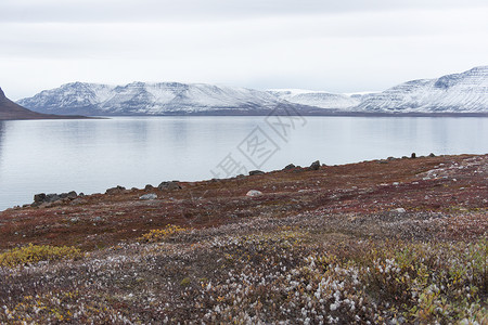 甚至格陵兰的北极景观全景蓝色天空气候植被旅行地平线海洋山脉情感背景