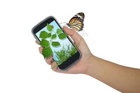 手持手与自然移动植物叶子绿色屏幕蝴蝶细胞技术瓢虫手机背景图片