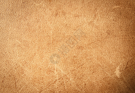 棕色皮革质地质量家具奶牛墙纸座位艺术皮肤宏观材料羊皮纸背景图片