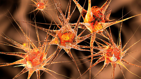 中日神经网络互动荷尔蒙信号头脑生物逻辑辉光智力科学细胞背景图片