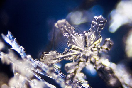 雪晶辐射雪晶审美几何白色照片雪花水晶黑色天气背景图片