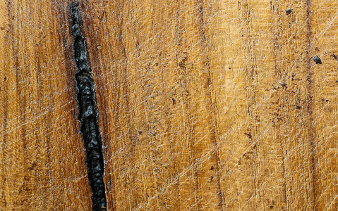 古木树原木背景棕色木头粮食木材背景图片