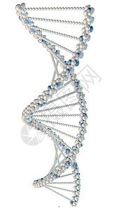 白色DNA链条说明医院遗传学克隆基因技术细胞教育想像力染色体器官背景图片