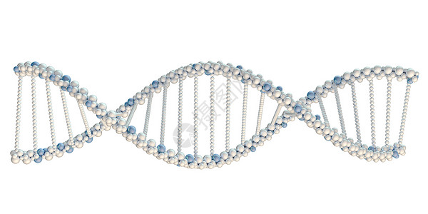 白色DNA链条说明想像力染色体基因技术蓝色教育医疗科学克隆细胞背景图片