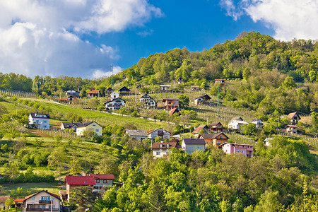 Zagorje山丘葡萄园和小屋高清图片