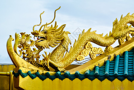 龙年金龙人物屋顶上有中国风格的金龙背景