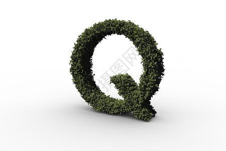 叶问终极一战用叶叶做的字母q叶子树叶绿色环境灌木绿化插图衬套大写字母绘图背景