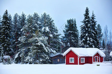 红色房顶小屋芬兰语房屋建筑学季节房子针叶树建筑木头农村谷仓孤独小屋背景