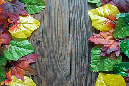 秋叶边框架叶子边界季节空白树叶古董木头背景图片