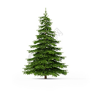克皮亚科圣诞木材高清图片