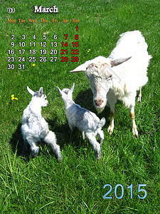 2015年3月日历 山羊和孩子背景图片