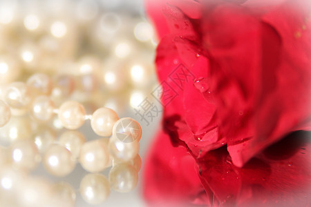 玫瑰和珍珠插图粉色水滴项链反射镜子女性化背景图片