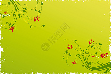 Floral 滚动背景红色模版标识框架横幅植物卷曲绿色插图叶子背景图片