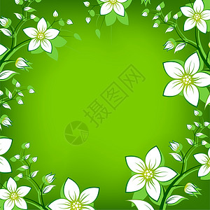 鲜花框架广告插图叶子艺术曲线蓝色黄色绿色树叶正方形背景图片