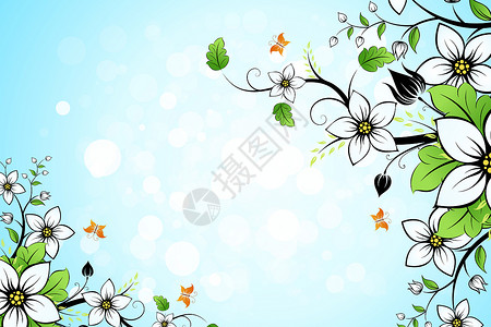 树叶和花花蓝色火花白色花朵框架艺术蝴蝶背景图片