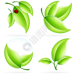降低图标经合组织图标集青年生长环境回收叶子生活白色生物标识绿色背景