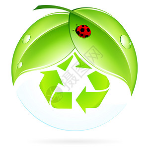 瓢虫图标再循环符号绿色电脑全球植物环境博客白色回收叶子瓢虫背景