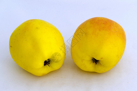 苹果果黄色食物红色植物水果背景图片