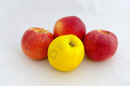 苹果水果红黄植物红色食物黄色背景图片