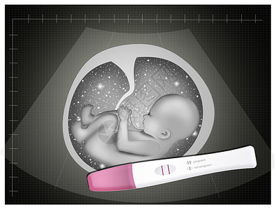 婴儿胚胎怀孕测试生育力胚胎保健子宫女人母性生长医疗药品生活背景