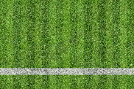 体育场和运动场绿色沥青棒球场白色草地地面操场植物足球场运动背景图片