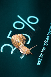 页面加载中计算机屏幕上的钉网完成35的数据百分号加载动物下载电脑兴趣互联网行政人员创造力蜗牛背景