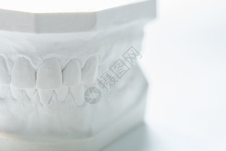 伤寒杂病论白色背景上的人类下巴的Gypsum模型模具教育科学投掷铸件口腔科实验室假牙桥梁解剖学背景